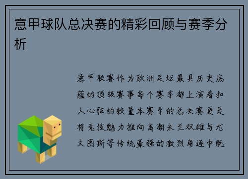 意甲球队总决赛的精彩回顾与赛季分析